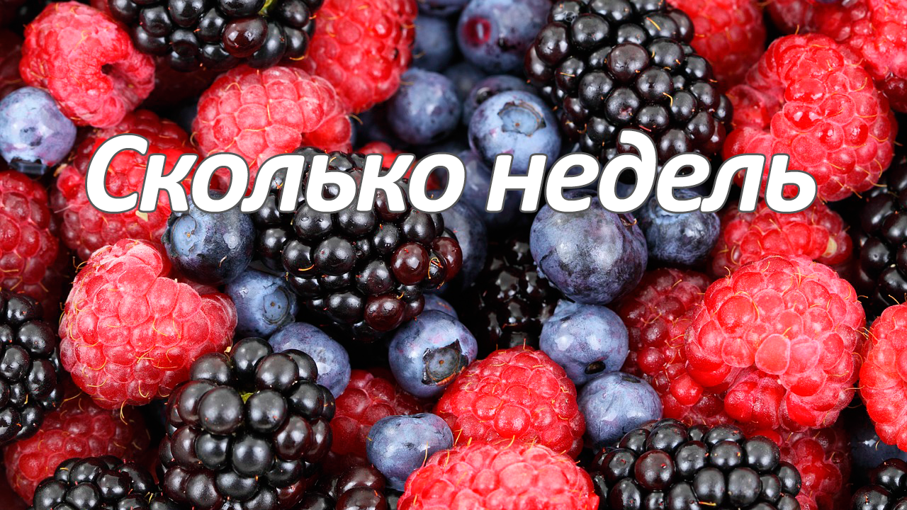 Сколько недель